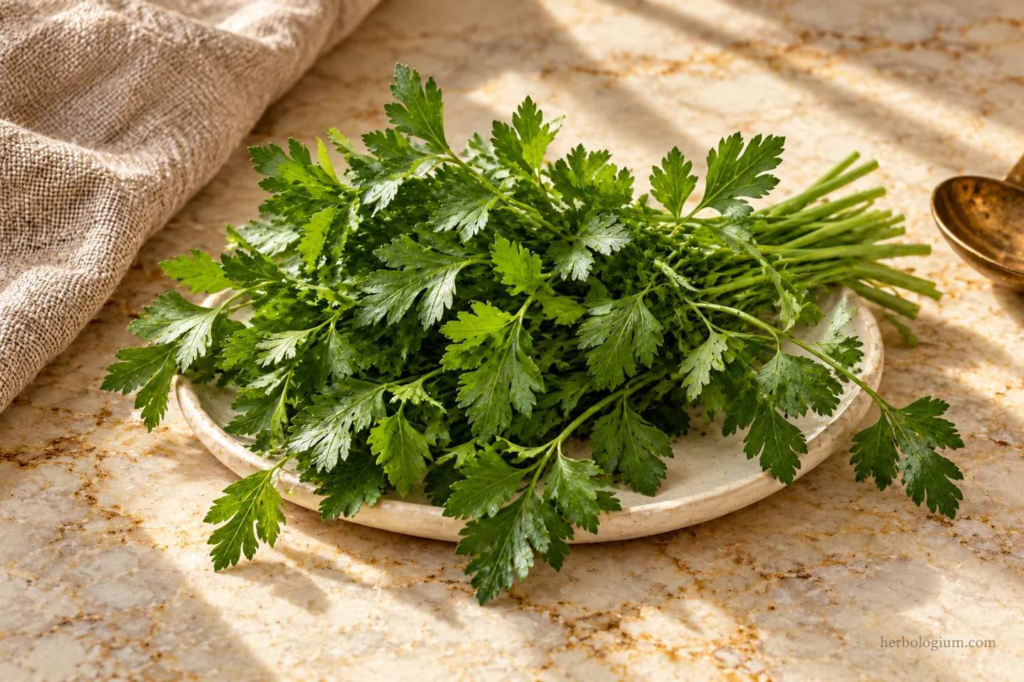 AI-generated ingredient still life of flat-leaf parsley on an ivory platter on Taj Mahal quartzite.